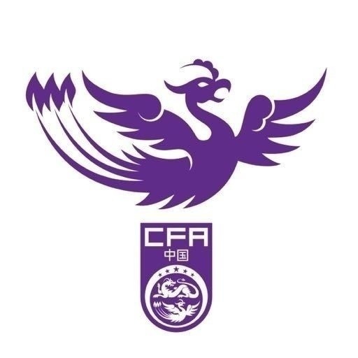  津媒：U17女足明日起兩戰(zhàn)日本定位整體實力，默契度有提升空間